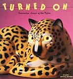 Turned on: Decorative Lamps of the Fifties (Recollectibles) by 