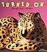 Turned on: Decorative Lamps of the Fifties (Recollectibles) by 
