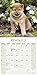 Shiba Inu Calendar - Dog Breed Calendars - 2018 - 2019 Wall Calendars - 16 Month by Avonside