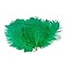 10pcs Home Decor Dark Green Ostrich Feathers