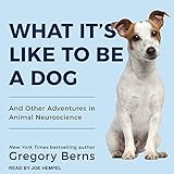 Image de What It's Like to Be a Dog: And Other Adventures in Animal Neuroscience