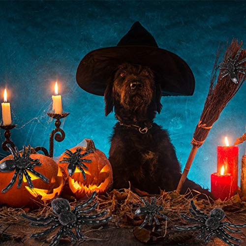 HAKACC Halloween Fledermäuse, 4 Stück Hängende Fledermäuse und 2 Stück Halloween Spinne Hängende Spinne Spuk-Gummi für Halloween Party Dekoration Kostüme
