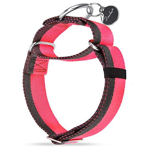 Dazzber 1.5 Inch Wide Martingale Collar,Extra Strong and Thicker, Heavy Duty Dog Collar for Medium Dogs (Medium, Hot Pink & Grey)