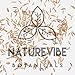 Naturevibe Botanicals Organic Cumin Seed, 2lbs (2 Packs of 1lb each) | Cuminum cyminum L. | Raw, Gluten-Free & Non-GMO | Adds Flavor and Taste.