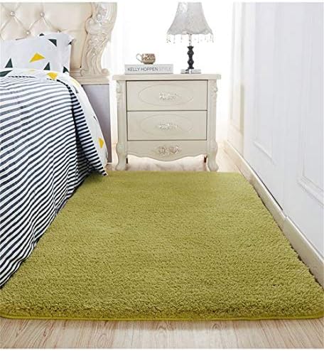 QEQEQE Mat Thick Washable Carpet Berber Fleece Footmats For Living/Bed Room Coffee Table Absorbent Quick-drying Rug Customizable Indoor Floormats ，11 Colours (Color : Grass green, Size : 140 * 200cm)