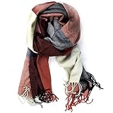 Leegoal Classic Cashmere Feel Plaid Long Pashmina Scarves Wrap,red&blue