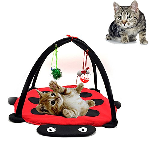 365mx Cat Play Mat,Activity Pet Cat Padded Bed,Suitable for Kitten Kitty,Cat Training,Playing Toys with Hanging Bell Ball and Mice,Red Ladybug Color,Pack of 1