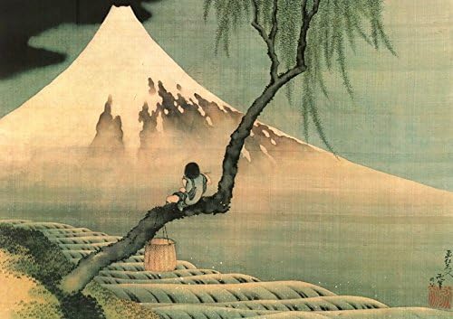 Katsushika Hokusai Boy in Tree Viewing Mt. Fuji Japanese Fine Art Poster Print 16 by 20