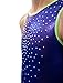D&M Gymnastics Leotard