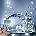 WERTIOO Battery Operated String Lights 33ft 100 LEDs Globe Christmas Lights with Remote Control for Outdoor/Indoor Bedroom,Garden,Christmas Tree[8 Modes,Timer ] (White)