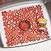 mDesign Floral Kitchen Sink Protector Mat, Sponge Holder, Drain Strainer - Set of 3, Red