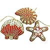 Tiki Johnnies Beach Shell Ornament Set Ornaments with Real Seashell Pieces Boxed, Pack of 3 51SeqPj0whL. SS100