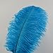 Sowder 10pcs Ostrich Feathers 12-14inch(30-35cm) for Home Wedding Decoration (Turquoise)