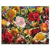 Visual Echo 3D Effect Wild Rose Tango 3D Lenticular Puzzle 500pc S5