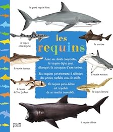 Les  requins