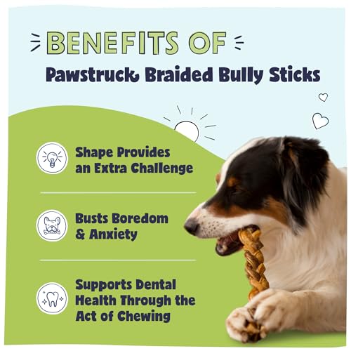 Pawstruck AllNatural 7” Braided Bully Sticks for Dogs Tough Long