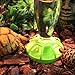 DDS5391 Reptile Automatic Drinker Terrarium Feeding Bowl Food Water Dish Small Pet Breeding Drinking Basin 3#thumb 2