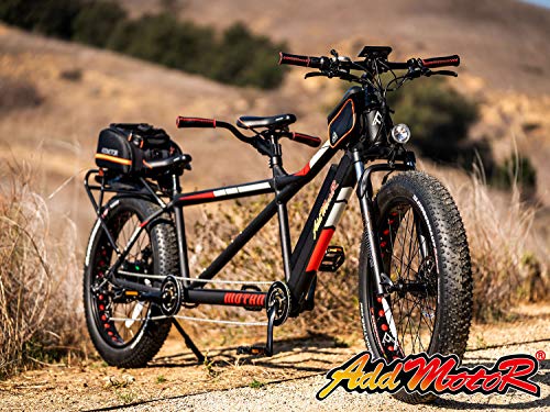 2 seater electric bike for adults