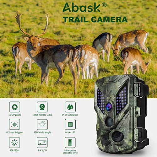 1 Cameras+Activated+Wildlife+Surveillance+Mounting
