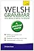 Welsh Grammar You Really Need to Know (Teach Yourself) by 