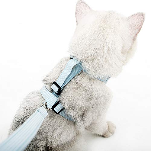 Kitten Harness and Leash Escape Proof for Walking Adjustable Neck Cat Collar Rabbits Puppy Kittens Soft Breathable Mesh Pet Vest (S, Blue)