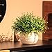 Artificial Plants Eucalyptus Leaves Bushes Fake Greenery Shrubs for Home Indoor Outdoor Grass Decor Green 4pcs 14