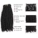 ABH AmazingBeauty Hair 8A Grade Thick Real Remy Human 4B 4C Double Weft Kinkys Coily Hair Extensions Clip In Human Hair for African American Black Women, Natural Black, 120 Gram, 20 Inch…