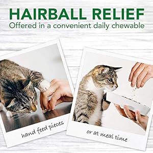 Vet S Best Vet S Best Cat Hairball Relief Digestive Aid Vet Formulated Hairball Support Remedy