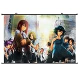1 X Steins Gate Anime Wall Scroll Poster (24''*16'')support Customized