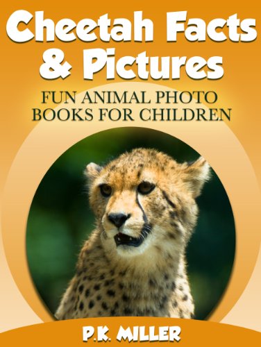 Cheetah Facts & Pictures (Fun Animal Photo Books for Children)