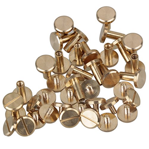 Solid Brass Flat Head Nail Rivets Chicago Screws for DIY Leather Craft Purse Pack of 20 (10x4x10mm)