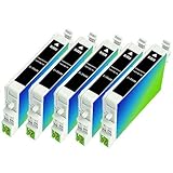 Nine Star Remanufactured Ink Cartridges Replacement for Epson T060 (5xBlack , 5-Pack)