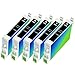 Nine Star Remanufactured Ink Cartridges Replacement for Epson T060 (5xBlack , 5-Pack)
