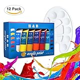 75ml LARGE Acrylic Paint Set, AGPtEK 12 Tubles Vibrant Colors Pigments Studio Kit for Nail Art, Craft, Canvas, Fabric,Ceramic, Wood and Clay