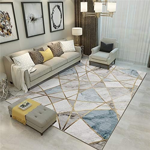 Modern Design Rug, Home Designer Carpet for Bedroom Floor Accessories Home Living Room Interior Decoration Rug (Color : B, Size : 200x300cm)