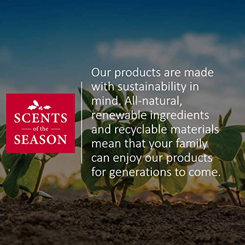 Fraser Fir Christmas Tree Scented Reed Diffuser Set Home Fragrance