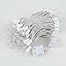 Novelty Lights 100 Light Clear Christmas Mini Light Set, White Wire, 50' Long
