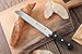 Cangshan V2 Series 59533 German Steel Forged Bread Knife, 8-Inch