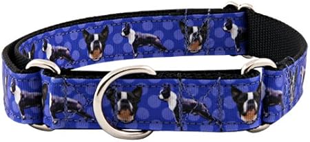 boston terrier dog collar