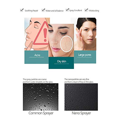 Beauty Nymph Mini Nano Facial Sprayer Skin Moisturizing Tool Face Mist Handy Sprayer Cool Steamer for Face