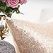 YOUR SMILE Pack of 2, New Luxury Series Rose Gold Decorative Glitzy Sequin & Comfy Satin Solid Throw Pillow Cover Cushion Case 18