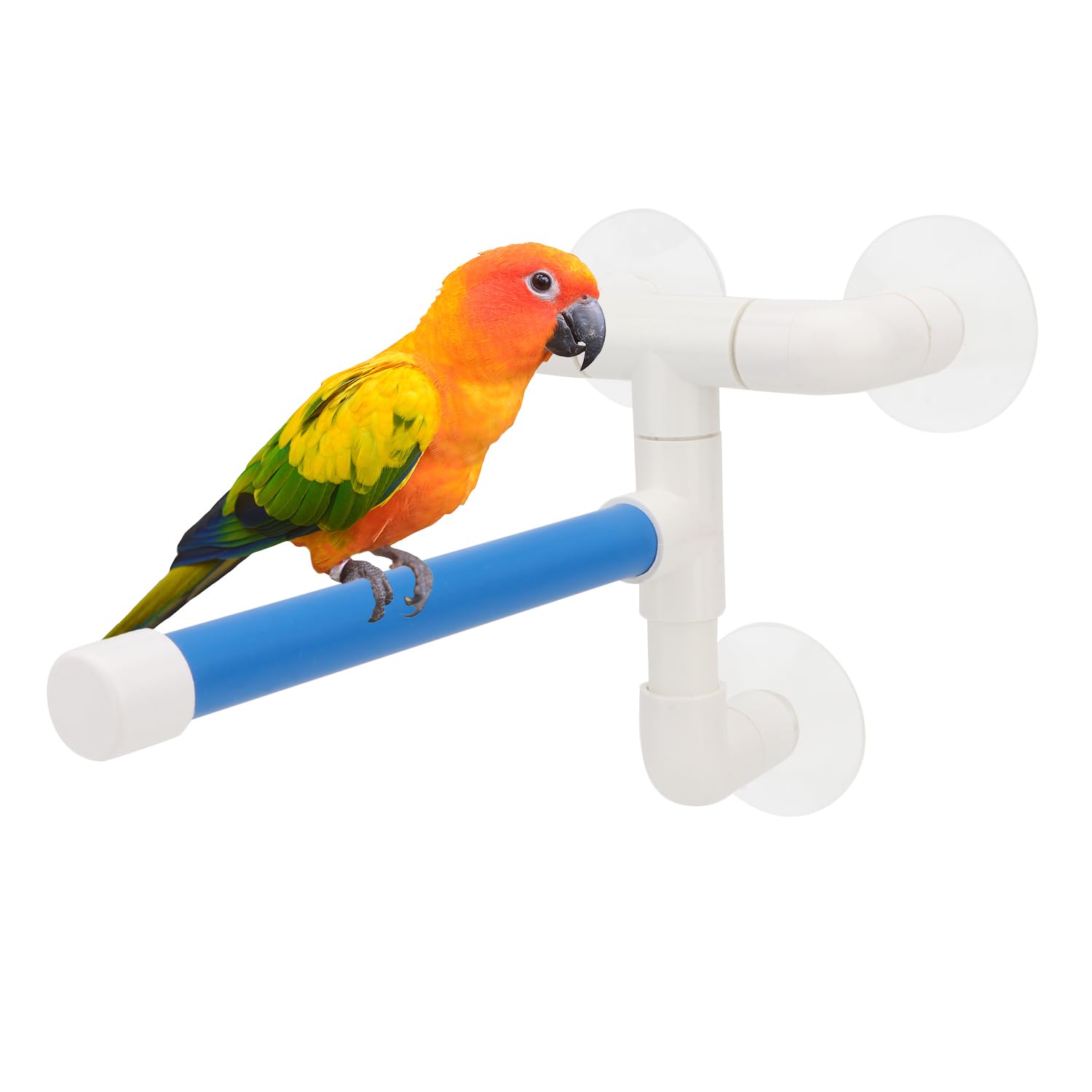 Hypeety Bird Parrot Stand Perch Shower Perch Standing Toy Portable Suction Cup Parrot Bath Stands Suppllies Holder Platform Parakeet Window Wall Hanging Play (3 Suction Cups2)