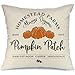 AENEY Fall Decor Pillow Cover 18x18 inch Pumpkin Patch Throw Pillow for Fall Farmhouse Fall Decorations Decorative Pillow Cover A246