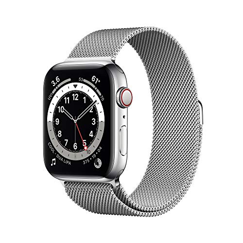 Silver Stainless Steel Case with Silver 