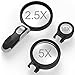 Magnifying Glass with Light BearMoo Lighted Magnifier with 3 Detachable Illuminated Lenses 2.5X 5X 16X - Ideal for Seniors, Maps, Jewellery, Hobbies