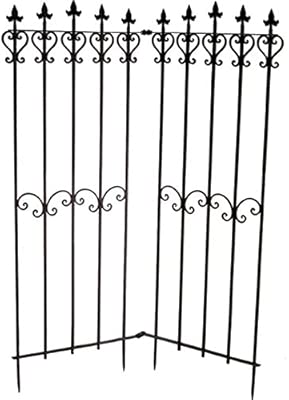 Plano Rank ayuda H165 X B128 cm: Amazon.es: Jardín