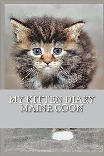 Buy My Kitten Diary Maine Coon Book Online At Low Prices In India
