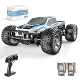 DEERC 9200E Large Hobby RC Cars, 48 KM/H 1:10 Scale