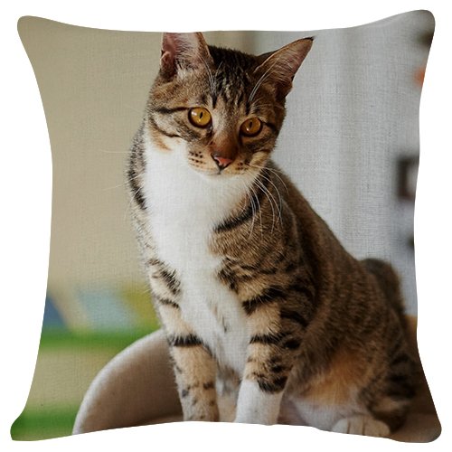 Amazon Com Cat Sitting Striped Throw Pillow Case Cushion Cover