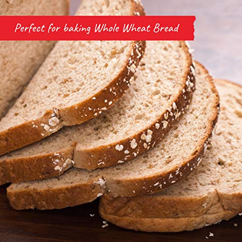 NONGMO Whole Wheat Flour 25 lbs Pricepulse